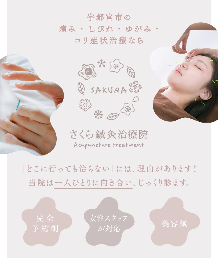 宇都宮市の痛み・しびれ・ゆがみ・コリ症状治療
